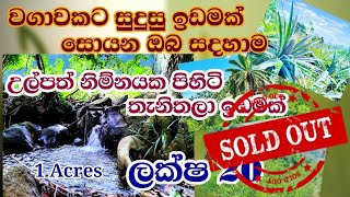 A valuable land for cultivation20 Lakhs per acreswith attractive water stream [upl. by Petersen]