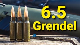 65 Grendel  First Shots and Sighting In [upl. by Ferretti63]