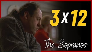 The Sopranos 3X12  Amour Fou  Análise do episódio [upl. by Kosiur385]