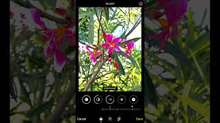 New iphone Photo Editing Hack Tutorial 3 [upl. by Susumu]