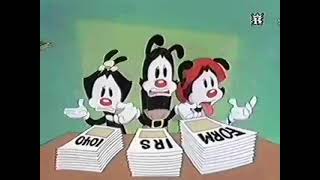 animaniacs pl intro lektor [upl. by Anna-Diane]