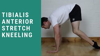 Tibialis Anterior Stretch Kneeling [upl. by Brothers417]