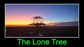 The Lone Tree  Landscape Photography Hervey Bay [upl. by Tamar258]