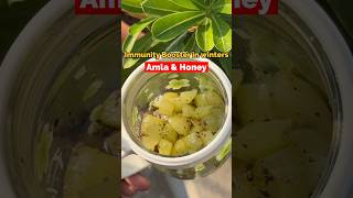 Immunity booster for winter Amla honey recipe homemade remedy for cough cold in children roxpinky [upl. by Nava332]