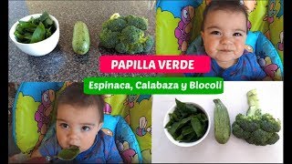 PAPILLA DE ESPINACA CALABAZA Y BROCOLI para bebes  Facil y Saludable [upl. by Ueihtam]