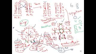 Mechanism of Translocation of chromosomes Part2 genetics botanylifescience botany zoology [upl. by Anelis]