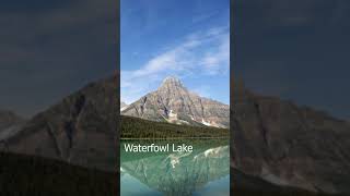 World famous Icefields Parkway drive short [upl. by Shandie]