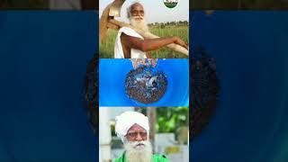 மீன் அமிலம் தயாரிப்பு நம்மாழ்வார் உரை vivasaayi agriculture vivasaayam agriculturefarming [upl. by Mook253]