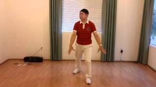 Lin Housheng Shibashi Movement Sample 6 [upl. by Conni]