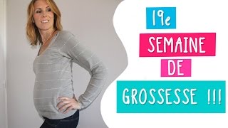 19e semaine de grossesse  21 SA  La 2e échographie [upl. by Eseilenna]