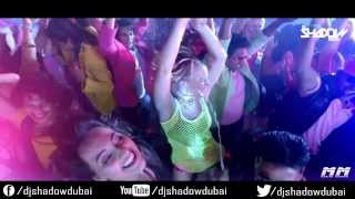 PARTY ALL NIGHT DJ SHADOW DUBAI REMIX [upl. by Nylanna]