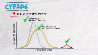 The Pharmacogenetics Series  CYP2D6 [upl. by Guyon]