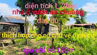 diện tích1 2héc nhà ở vườn ao chuồng đày đủ thích hợp côchú về định cư giá chỉ có180tr [upl. by Encratia]