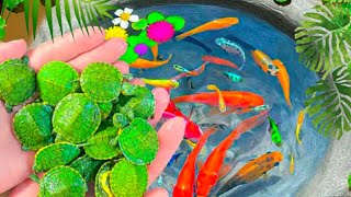 Catch Nests Of Catfish In Eggs Koi Guppy Fish Betta fish Neon Fish Zebra Fish  Video Fishing [upl. by Idelson]