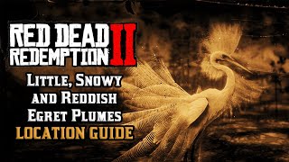 Little Snowy and Reddish Egret Plumes  Location Guide  Red Dead Redemption 2 [upl. by Raynold713]