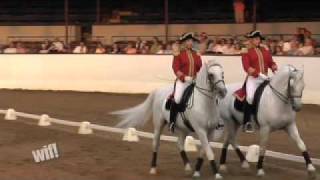 Behind the Scenes of the World Famous Lipizzaner Stallions [upl. by Aryam]