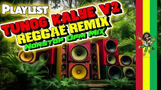 Tunog Kalying Reggae Mix Nonstop Opm Reggae Version Best Of Opm Alternative Rock Mix [upl. by Lohse]