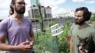 A tour of Smiling Hogshead Urban Farm in Queens New York [upl. by Skier]