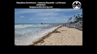 2023 Sargazo  Republica Dominicana  Catalonia Bayahibe  La Romana [upl. by Vange]