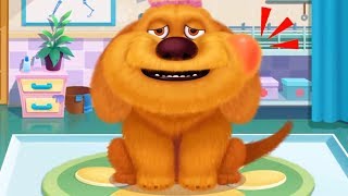 Fun Pet Care Kids Games  Furry Pet Hospital  Play Fun Animals Pet Care Games For Kids [upl. by Tnahsarp420]