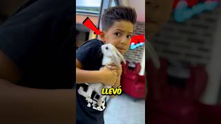 Trajo a su Conejo de compañía 🐇 a la Escuela 🏫 Pero lo que pasó después te sorprenderá 😱 [upl. by Rednaskela]