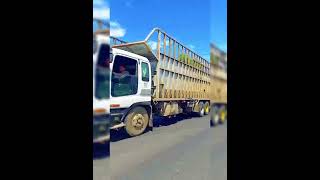 Sugarcane Truck Hauler from Kabankalan City to Himamaylan City Negros Island Philippines [upl. by Nims]