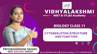 Cytoskeleton structure and function Cytoskeleton class 11  NEET [upl. by Beverlee]