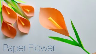 Easy Paper Flower  Paper Tulip Flower  Paper Craft [upl. by Wayolle561]