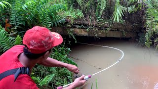 Sampai lemes MANCING DI BAWAH JEMBATAN ternyata ikan lele nya besar besar sarang lele liar [upl. by Leahcimnoj709]