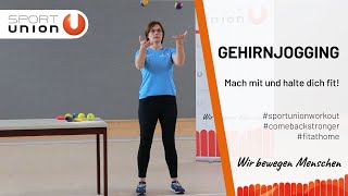 SPORTUNION Workout für zuhause  Koordinationsübungen  Gehirnjogging [upl. by Ateekal]