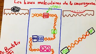 Les bases moléculaires de la cancérogénèse [upl. by Allistir344]