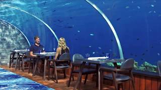 The Amazing 58 Undersea Restaurant at Hurawalhi Maldives [upl. by Jedlicka]