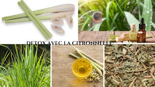 La Citronnelle  Le Detoxifiant Idéal Pour La Peau Et Les Organes [upl. by Sofko400]