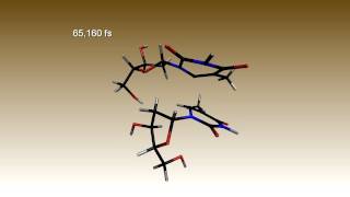 Repair of cyclobutane thymine dimer [upl. by Shaine]