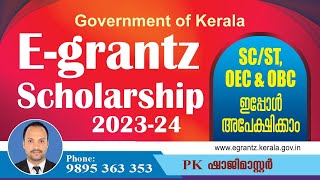 Egrantz Scholarship 202324 Apply Now [upl. by Hteazile280]