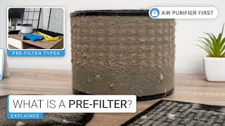 What is an Air Purifier Prefilter What is its Main Purpose 💡 [upl. by Joanie385]