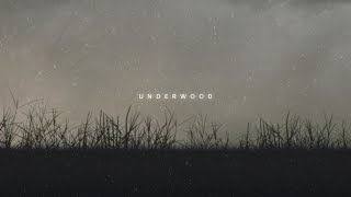 Ludovico Einaudi  Underwood  slowed  reverb [upl. by Eey]