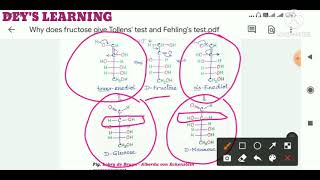 Why does fructose give positive Tollens and Fehlings test Biomolecules for JEE Mains NEET [upl. by Eilliw281]