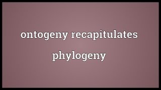 Ontogeny recapitulates phylogeny Meaning [upl. by Yesmar63]