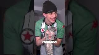 Un chat dans mon appart  twitch videoclips videohighlights [upl. by Mraz820]