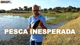 Pesca ao achigã inesperada ft Hrod Fishing [upl. by Buchbinder]