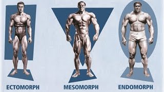 Ectomorph Endomorph Mesomorph How To Train amp Eat For YOUR Body Type [upl. by Kamillah]