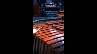 Bass marimba  Contrabass marimba [upl. by Anaitit133]