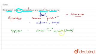 Distinguish between epipetalous and epiphyllous stamens [upl. by Thayer]