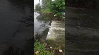 URAPAKKAM PERIYAR NAGAR LAKE aka KARANAI PUDHUCHERRY LAKE chennairains [upl. by Llenyr363]