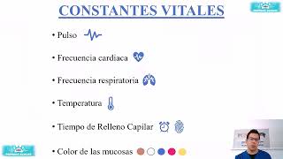 CONSTANTES VITALES EN PERROS Y GATOS [upl. by Ahtenak]