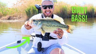 I Caught My BIGGEST Largemouth EVER Bass Fishing Washington State [upl. by Matusow418]