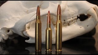 65 Creedmoor vs 270 vs 2506 The Results Might Surprise You [upl. by Janetta]