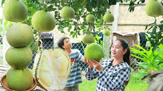 Pomelo salad mango pickle and durian sticky rice sweet are so delicious  Cooking with Sros [upl. by Sregor]