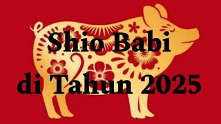 Shio Babi di tahun 2025 [upl. by Fiore]